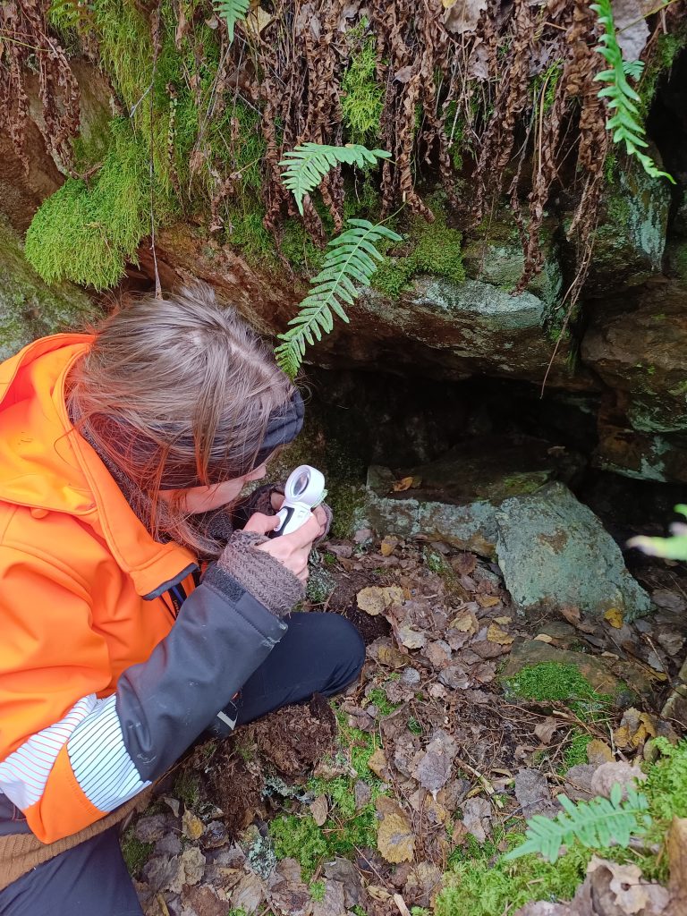 45082c6f-fd68-49d1-9a70-8455de3099d0