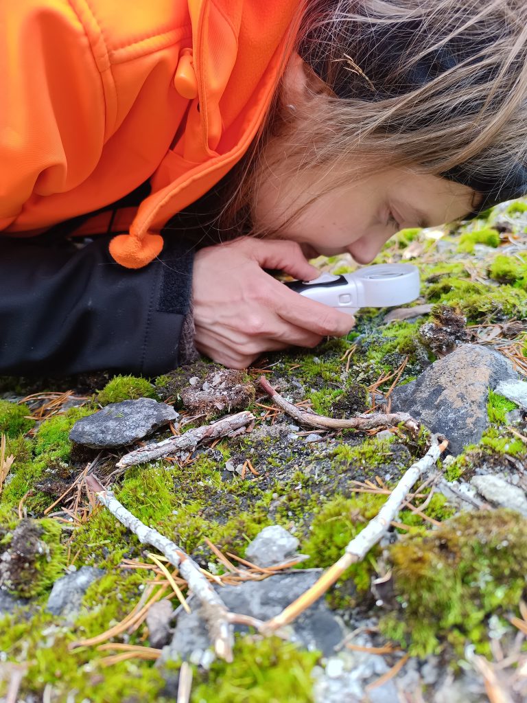 9427481e-fd3c-47c0-bdd1-cafcb8251e1c