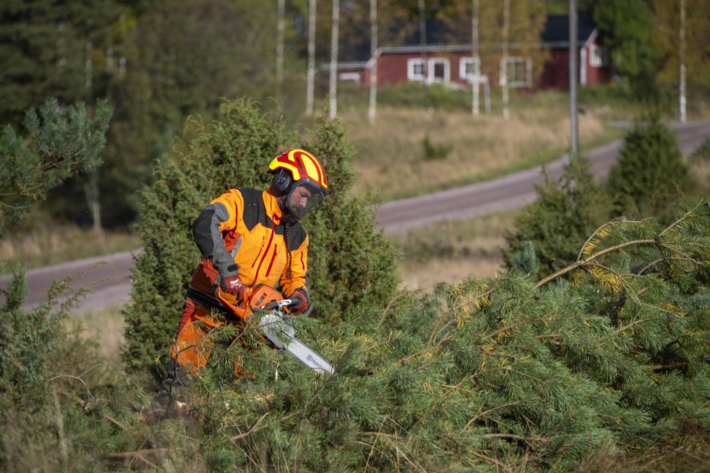 Hammarsboda_keto-5014